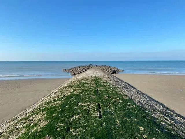 アパート Seaview With Style *