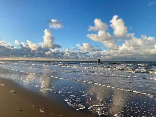 Seaview With Style アパート オステンド