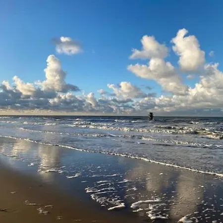 Seaview With Style Apartment Ostend